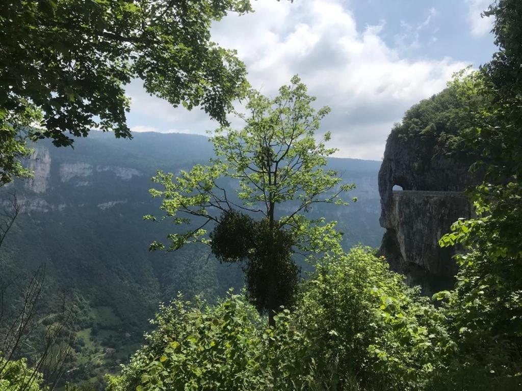 Maison De Vacances Avec Ses Petits Chalets Aouste-sur-Sye 外观 照片